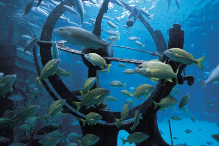 Ruins_Lagoon_381_Med - GALLERY.jpg